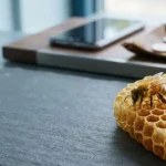 Golden honeybee on natural honeycomb on a slate tabletop, with a smartphone and plain coins on a payment counter